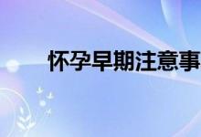 懷孕早期注意事項（20個注意事項）