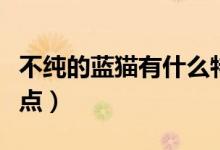 不純的藍(lán)貓有什么特征（不純的藍(lán)貓有什么特點(diǎn)）