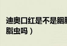 迪奧口紅是不是胭脂蟲做的（阿瑪尼口紅有胭脂蟲嗎）