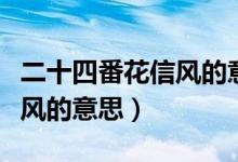 二十四番花信風的意思是什么（二十四番花信風的意思）