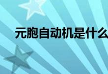 元胞自動機是什么（元胞自動機的意思）