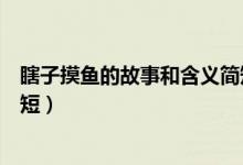 瞎子摸魚的故事和含義簡短（關(guān)于瞎子摸魚的故事和含義簡短）