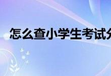怎么查小學生考試分數(shù)（這些途徑都可以）