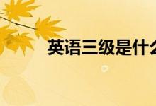 英語(yǔ)三級(jí)是什么（什么時(shí)間考試）
