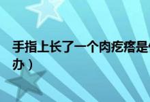手指上長(zhǎng)了一個(gè)肉疙瘩是什么（手指上長(zhǎng)了一個(gè)肉疙瘩怎么辦）