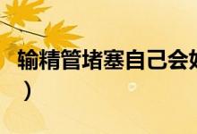 輸精管堵塞自己會(huì)好嗎（輸精管堵塞有感覺(jué)嗎）