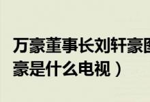 萬豪董事長劉軒豪圖片（萬豪集團(tuán)董事長劉軒豪是什么電視）