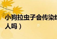 小狗拉蟲子會傳染給人嗎（小狗拉蟲子會傳染人嗎）