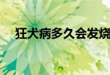 狂犬病多久會發(fā)燒（狂犬病多久會發(fā)作）