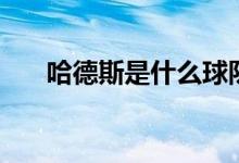 哈德斯是什么球隊（哈德斯是什么神）