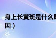 身上長(zhǎng)黃斑是什么原因（身上長(zhǎng)黃斑是什么原因）
