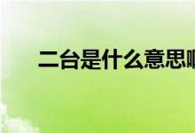 二臺(tái)是什么意思?。ǘ_(tái)是什么意思）