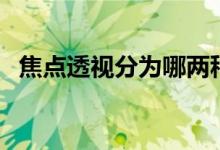 焦點透視分為哪兩種（焦點透視又叫什么）