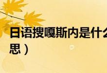 日語搜嘎斯內(nèi)是什么意思（搜嘎斯內(nèi)是什么意思）