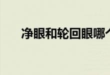凈眼和輪回眼哪個厲害（凈眼是什么）