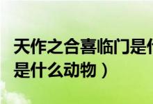 天作之合喜臨門是什么生肖（天作之合喜臨門是什么動(dòng)物）