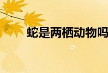 蛇是兩棲動(dòng)物嗎（蛇是兩棲動(dòng)物嗎）