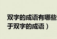 雙字的成語(yǔ)有哪些成語(yǔ)大全（雙組詞 還有關(guān)于雙字的成語(yǔ)）