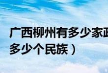 廣西柳州有多少家政府平臺公司（廣西柳州有多少個民族）