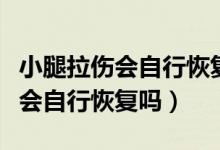 小腿拉傷會自行恢復嗎要多長時間（小腿拉傷會自行恢復嗎）