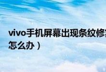 vivo手機屏幕出現(xiàn)條紋修復多少錢（vivo手機屏幕出現(xiàn)條紋怎么辦）