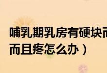哺乳期乳房有硬塊而且疼(哺乳期乳房有硬塊而且疼怎么辦)