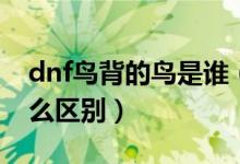 dnf鳥(niǎo)背的鳥(niǎo)是誰(shuí)（dnf鳥(niǎo)背單人和組隊(duì)有什么區(qū)別）