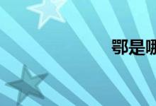 鄂是哪里的車牌