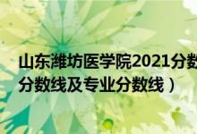 山東濰坊醫(yī)學院2021分數(shù)線（濰坊醫(yī)學院2021年各省錄取分數(shù)線及專業(yè)分數(shù)線）