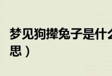 夢見狗攆兔子是什么意思（狗攆兔子是什么意思）