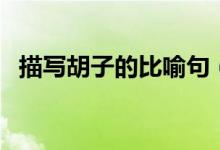 描寫胡子的比喻句（關(guān)于胡子的比喻句子）