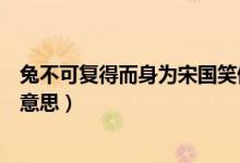 兔不可復得而身為宋國笑停頓（兔不可復得而身為宋國笑的意思）