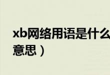 xb網(wǎng)絡(luò)用語(yǔ)是什么意思（xb是網(wǎng)絡(luò)中文什么意思）