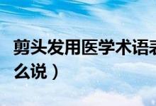 剪頭發(fā)用醫(yī)學(xué)術(shù)語(yǔ)表達(dá)（剪頭發(fā)用醫(yī)學(xué)術(shù)語(yǔ)怎么說(shuō)）