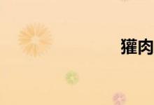 獾肉怎么吃？