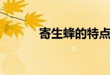 寄生蜂的特點(diǎn)（寄生蜂的特點(diǎn)）