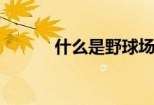 什么是野球場(chǎng)（什么是野茄子）