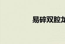 易碎雙腔龍相當(dāng)于幾層樓