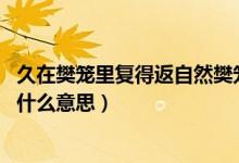 久在樊籠里復(fù)得返自然樊籠的意思（久在樊籠里 復(fù)得返自然什么意思）