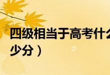 四級相當(dāng)于高考什么水平（相當(dāng)于高考英語多少分）