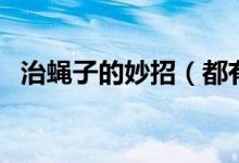 治蠅子的妙招（都有什么辦法可以驅蠅子）