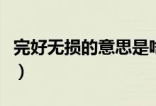 完好無損的意思是啥（完好無損的意思是什么）