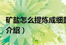 礦鹽怎么提煉成細(xì)鹽（礦鹽提煉成細(xì)鹽的過程介紹）