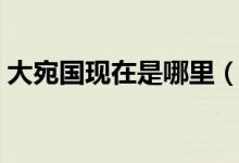 大宛國現(xiàn)在是哪里（大宛國現(xiàn)在是哪個國家）