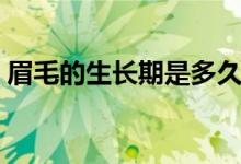 眉毛的生長(zhǎng)期是多久（眉毛的生長(zhǎng)期是多久）