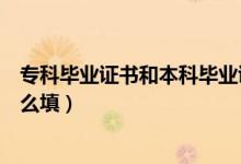 ?？飘厴I(yè)證書和本科畢業(yè)證書的區(qū)別（專科畢業(yè)證書類別怎么填）