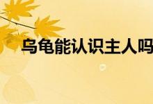 烏龜能認(rèn)識(shí)主人嗎（烏龜能認(rèn)識(shí)主人嗎）