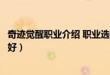奇跡覺(jué)醒職業(yè)介紹 職業(yè)選擇攻略（奇跡覺(jué)醒里哪些職業(yè)比較好）