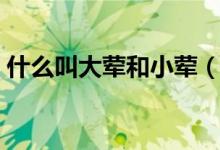 什么叫大葷和小葷（葷葷大端是什么意思?。?class=