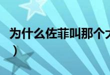 為什么佐菲叫那個(gè)大人（佐菲那位大人什么梗）